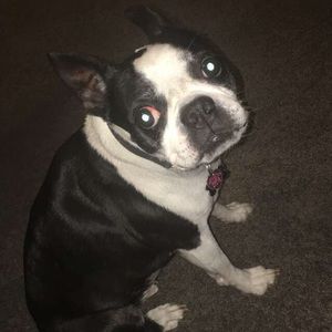 Meet your Posher, Matthew